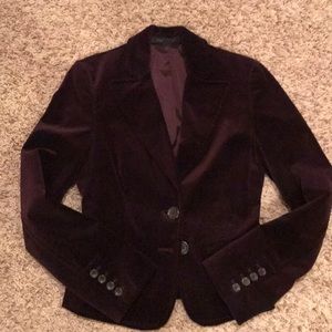 Express Plum Velvet Blazer